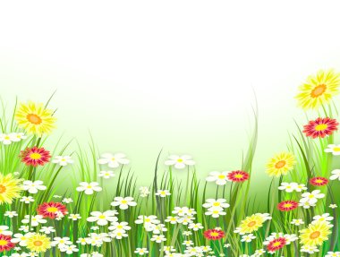 vahşi bahar çiçekleri yeşil çayır