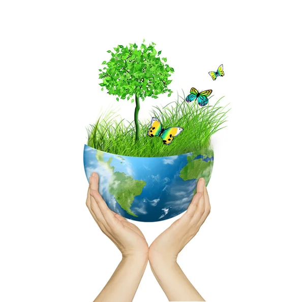 Miljö koncept. världen i händerna — Stockfoto