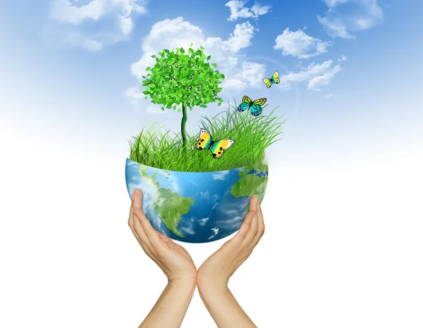 Koncepcja ochrony środowiska. świata w rękach. — Zdjęcie stockowe