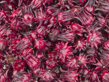 Roselle
