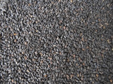 Siyah susam tohumları