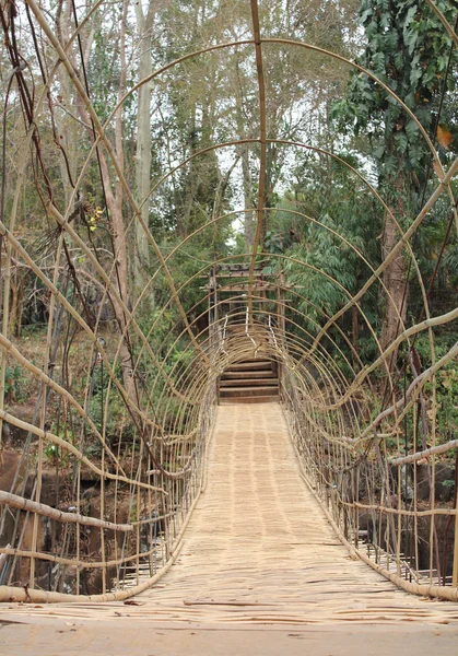Suspension pont en bambou — Photo