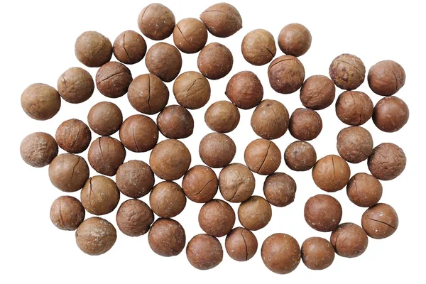 Unshelled горіхів макадамії — стокове фото