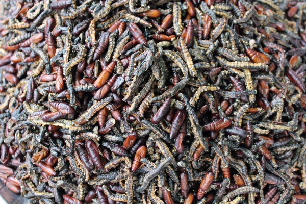 Scalda bollito per mangiare — Foto Stock