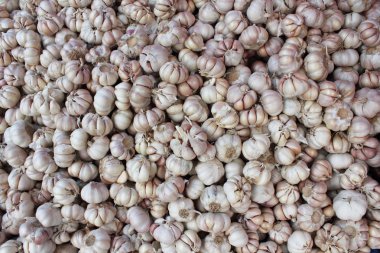 sarımsak desen pazarında