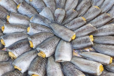 jongen met bloem in hand