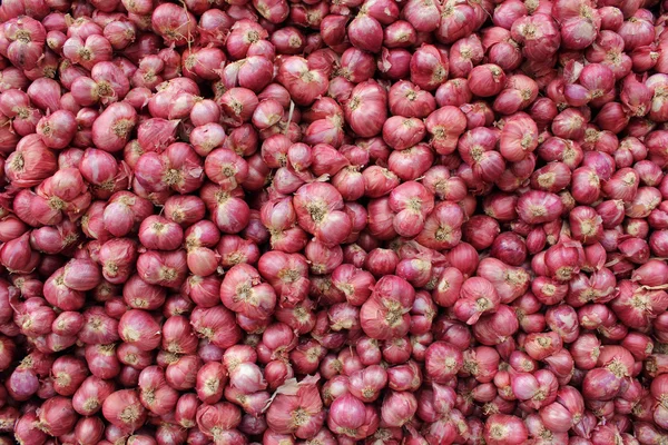Abondance d'oignons rouges — Photo