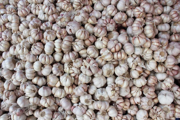Garlic pattern on market — Stock Photo, Image