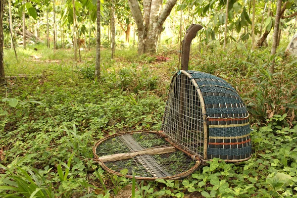 Armadilha de pássaro artesanal — Fotografia de Stock