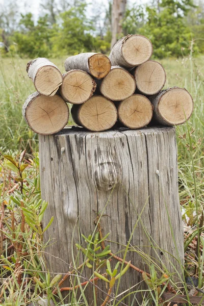 Högen av loggarna på knubbiga — Stockfoto