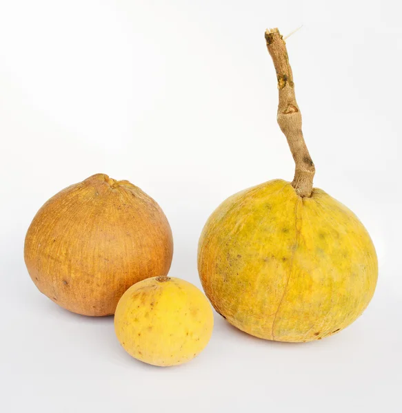 Santol-Früchte — Stockfoto