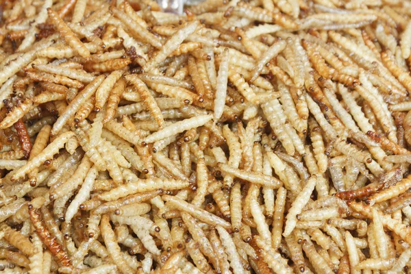 Fried bamboo larvas — Stock Photo, Image