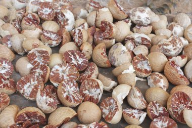 Betel nuts drying clipart