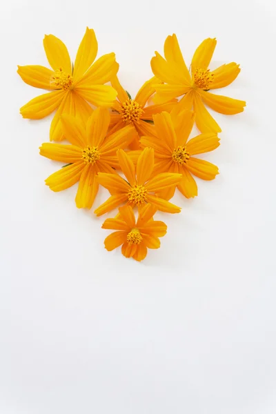 Καρδιά σχήμα λουλούδι — Φωτογραφία Αρχείου