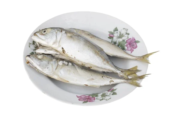 Small Mackerel — Stock Photo, Image