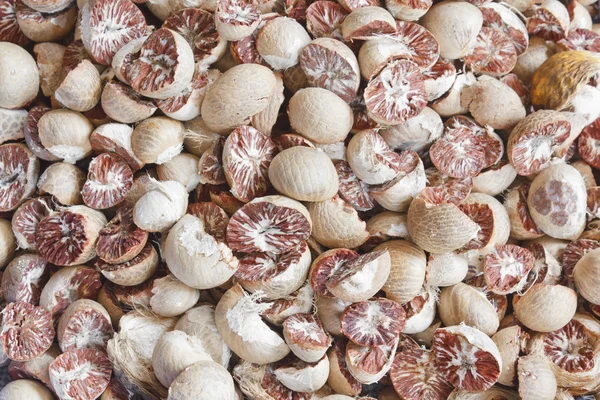 Peeled betel nuts drying — Stock Photo, Image
