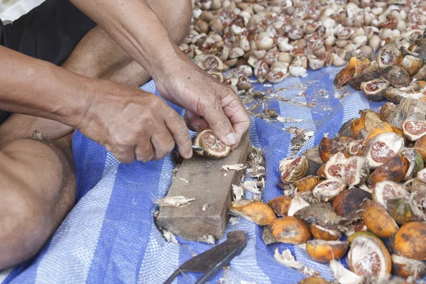 Pelar nueces de betel — Foto de Stock