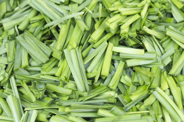 Chives Stock Image