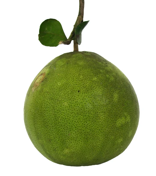 Gröna pomelo på vit bakgrund. — Stockfoto