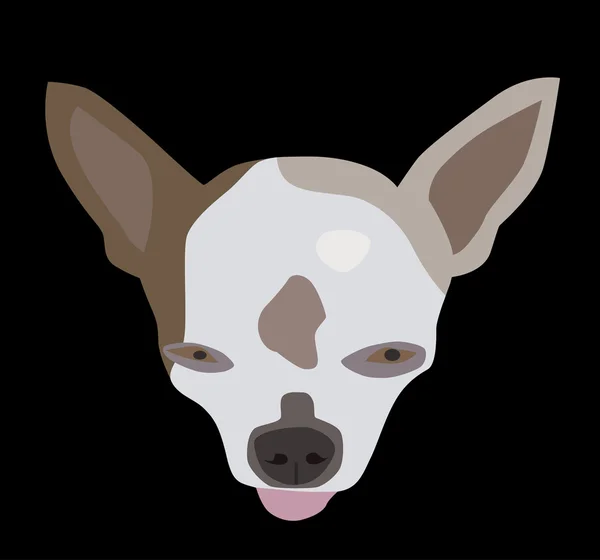 Chihuahua Face — Stock Vector