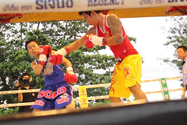 Lucha contra el boxeo —  Fotos de Stock