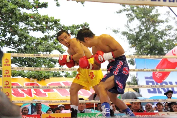 Fight boxing — Stock Photo, Image