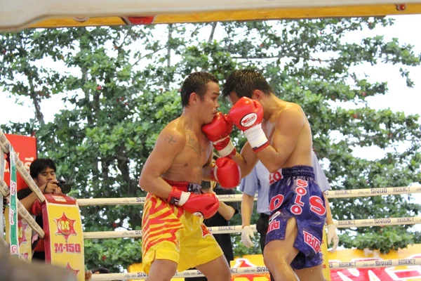 Fight boxing — Stock Photo, Image