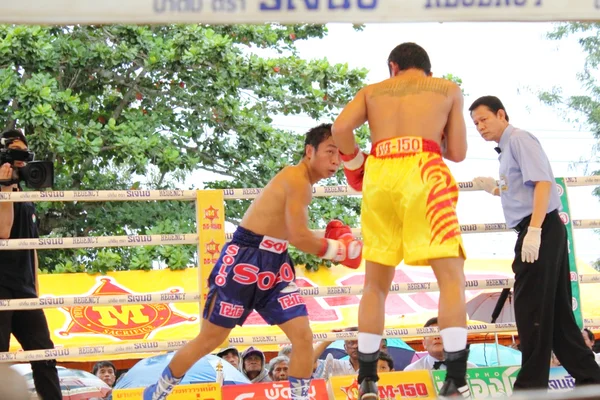 Fight boxing — Stock Photo, Image