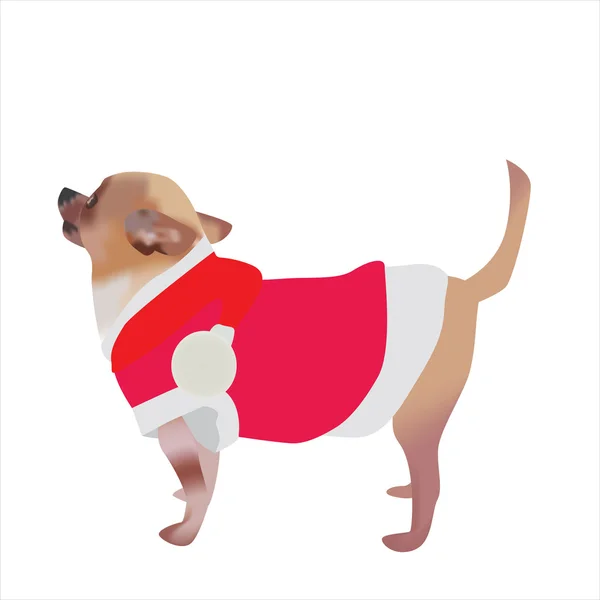 Christmas cartoon chihuahua — Stock Vector