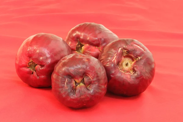 Malay elması — Stok fotoğraf