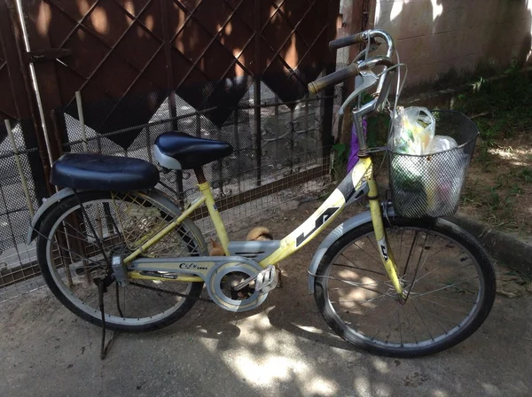 Ποδήλατο του γυναίκα της Ταϊλάνδης μετά ψώνια φρέσκα τρόφιμα από την αγορά — Φωτογραφία Αρχείου
