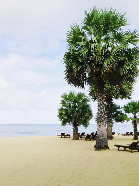 Tropical beach — Stock Photo, Image