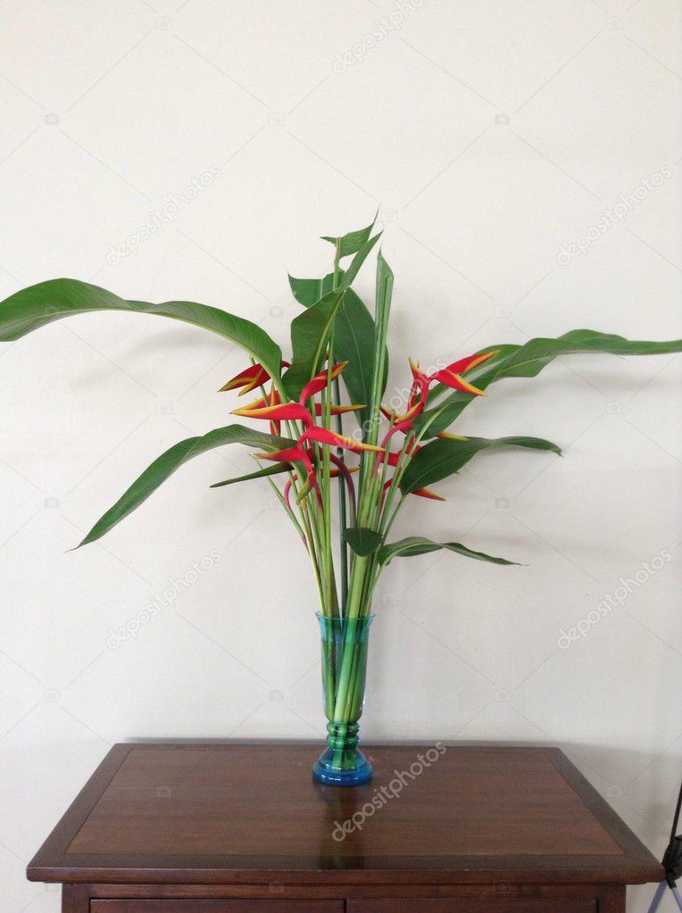 Vase Avec Fleur Oiseau Du Paradis Photographie Olovedog1