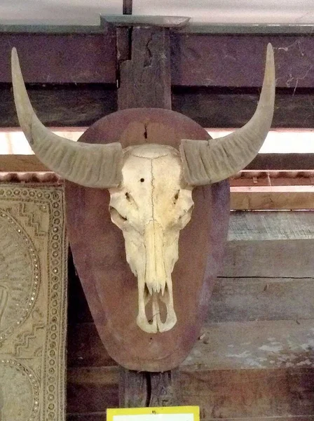 Antika skallen av buffalo hänga dekorera på thailändska vägg — Stockfoto
