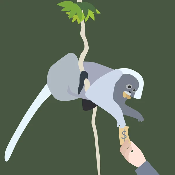 Листя мавпи — стоковий вектор