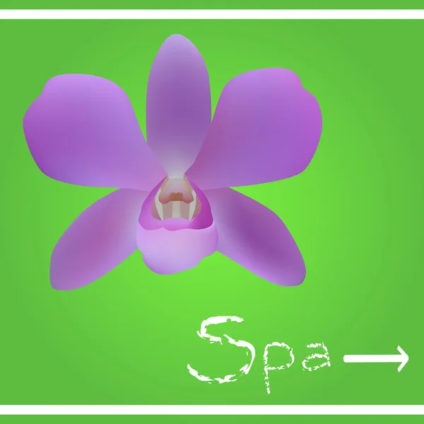 Orchid spa riktning — Stock vektor