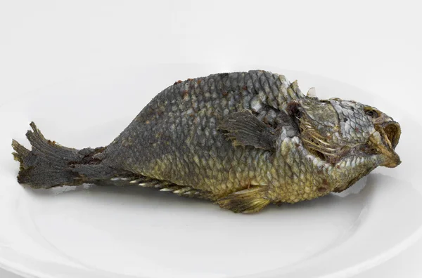 Жареная рыба-скалолаз — стоковое фото