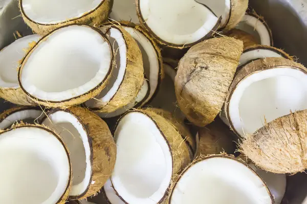 Noix de coco fraîches — Photo