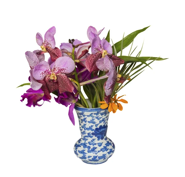 Orchidej v váza — Stock fotografie