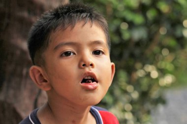 Asian Thai little boy play in the backyard