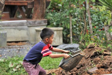 Asian boy pours soil from a bucket