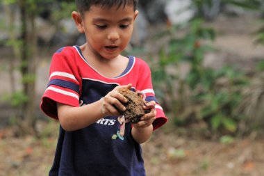Asian Thai little boy play in the backyard