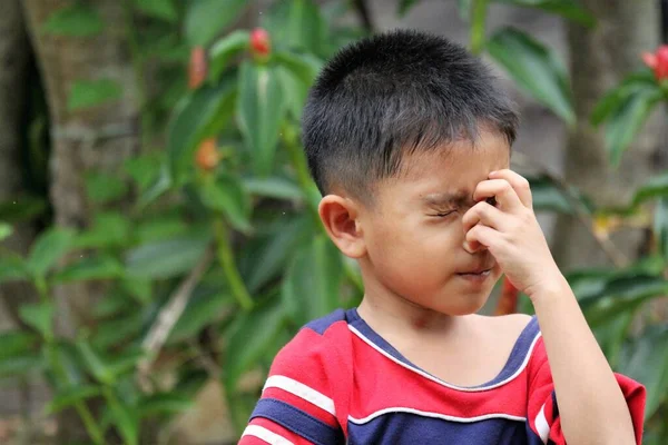 Asian Thai Little Boy Play Backyard — Stock fotografie