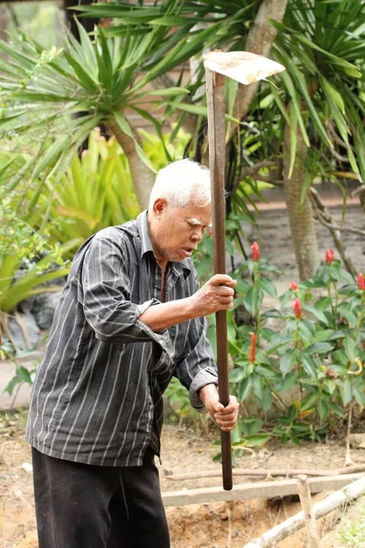 Asian Old Man Farmer Shoveling Soil Plantation Garden Morning Time — Photo