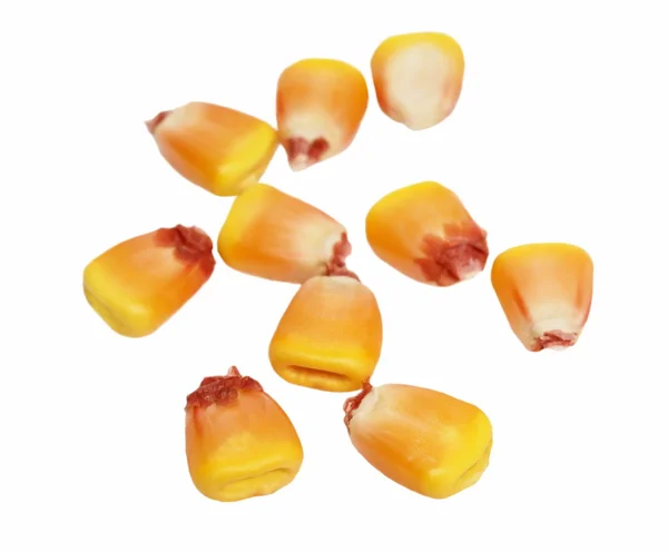 Pilha de milho kernel isolado no fundo branco — Fotografia de Stock