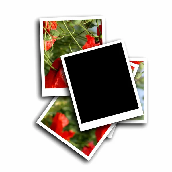 Lege foto frame en papaver bloem, geïsoleerd op witte achtergrond — Stockfoto