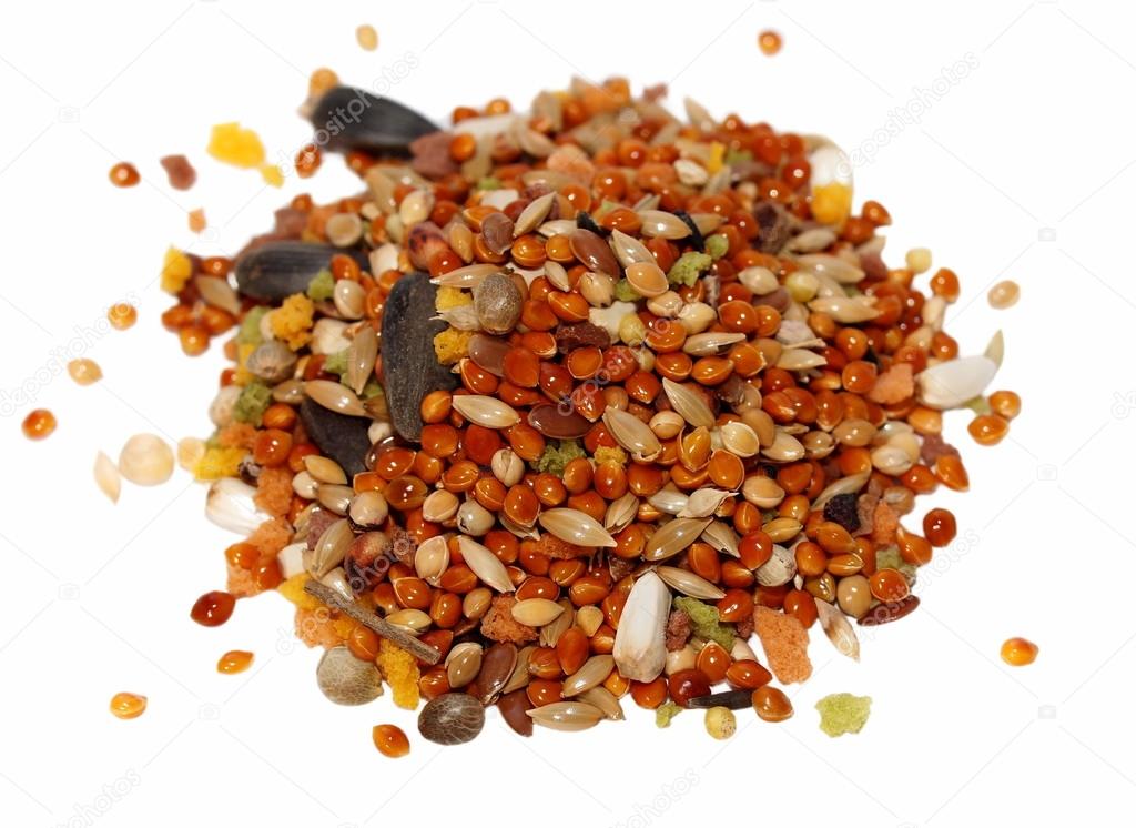 Pile of seed mixture for bird. Complete food for Lovebirds