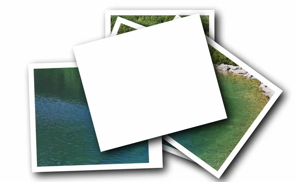 Foto isolata su sfondo bianco — Foto Stock