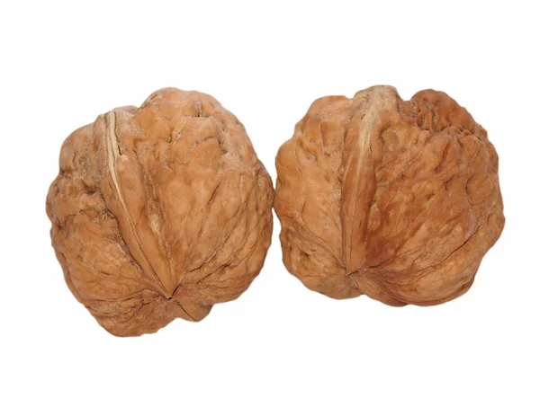 Dos nueces aisladas sobre fondo blanco — Foto de Stock