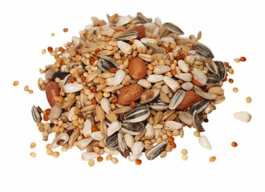 Pile of seed mixture for Big Parakeets, isolated on white clipart